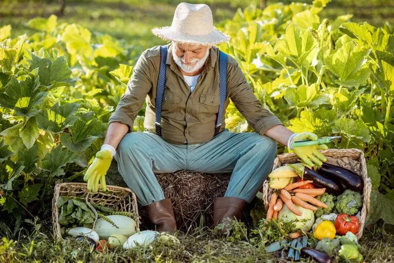 5 Simple Tips to Keep Your Garden Blooming on a Budget